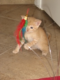 20100206 433.JPG